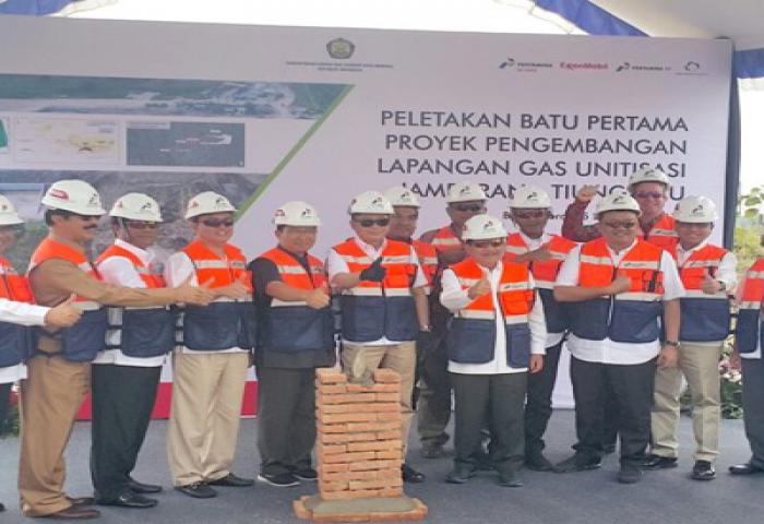Penerimaan Negara Proyek Gas Jambaran Tiung Biru Capai Rp 48 Triliun